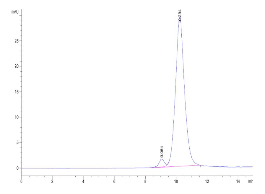 CD47-HP003 SEC-HPLC result