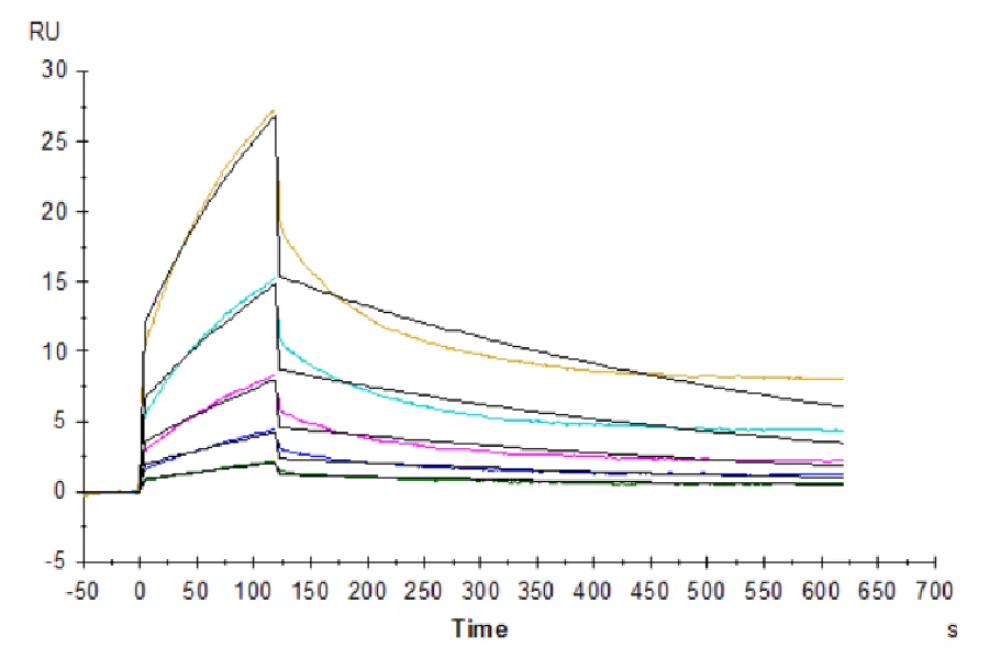 CD47-HP004 SPR result