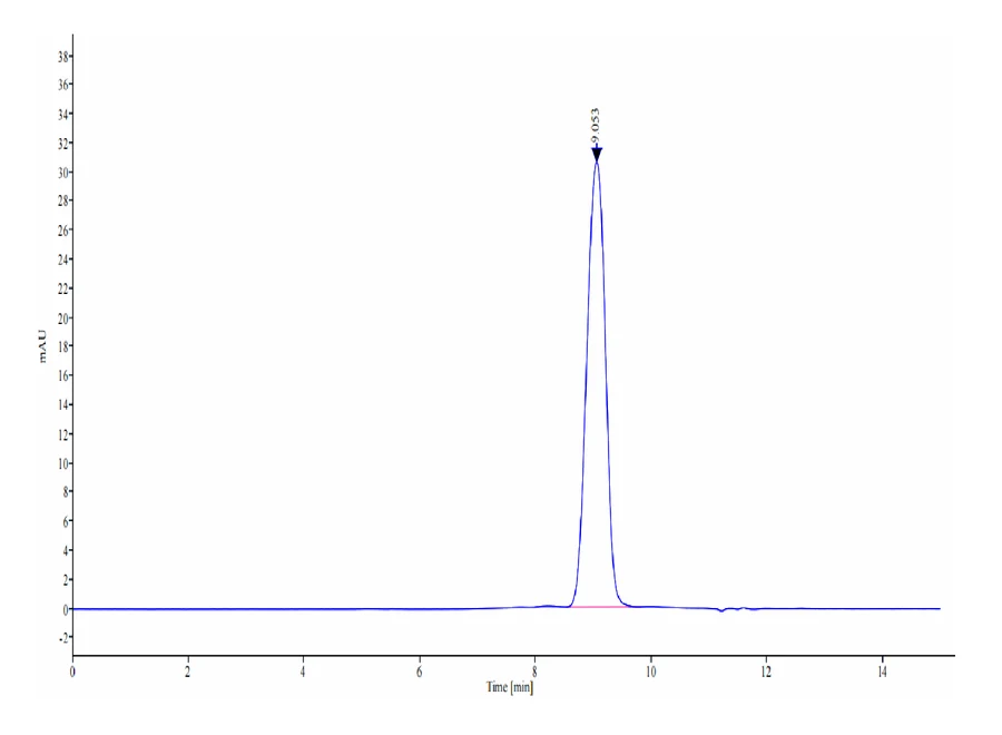 CD48-MB001 SEC-HPLC result