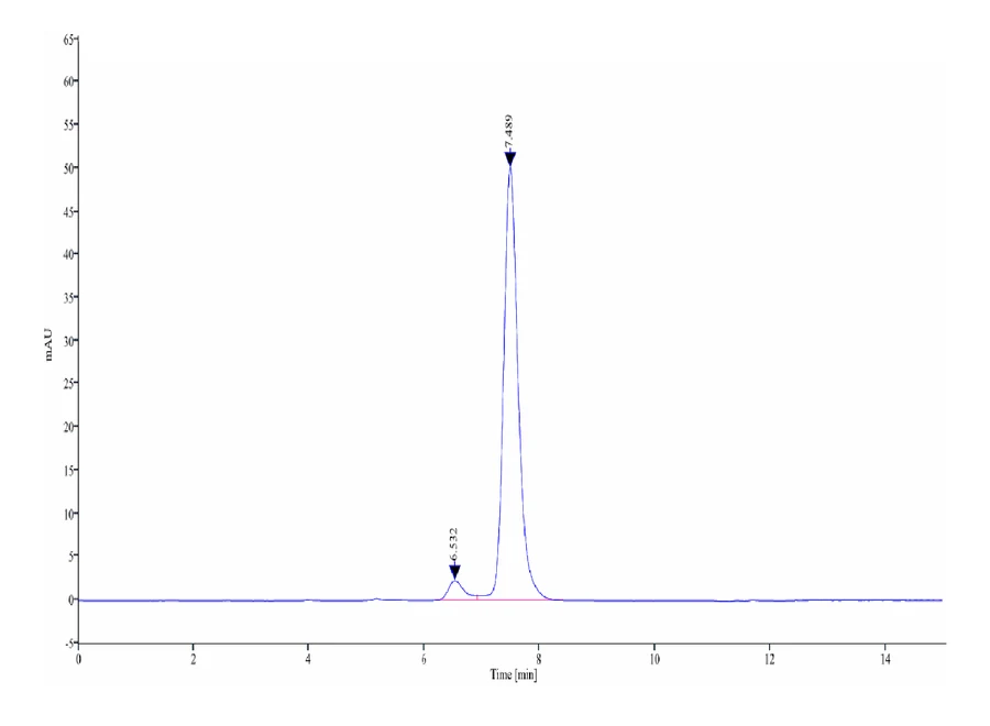 CD5-HF002 SEC-HPLC result