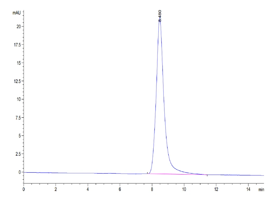 CD52-MF001 SEC-HPLC result