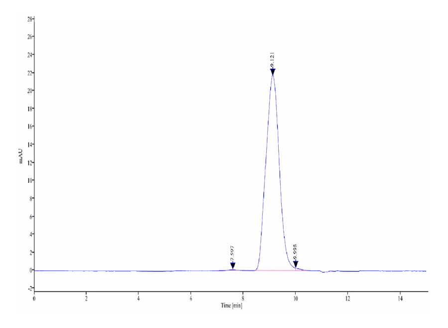 CD58-HB001 SEC-HPLC result