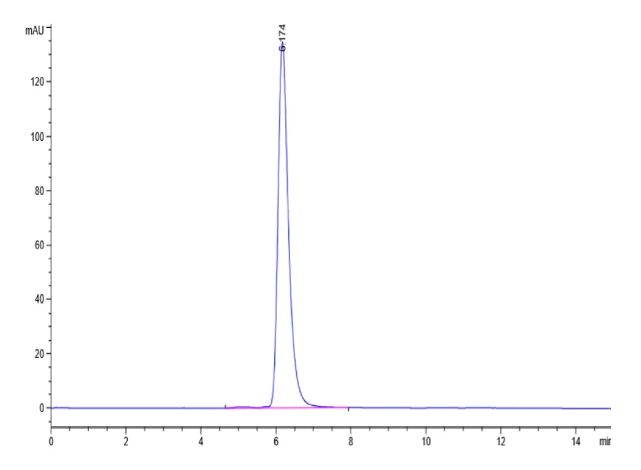 CD62E-HB001 SEC-HPLC result