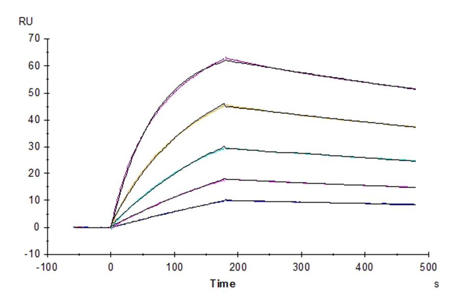 CD64-HB001 SPR result