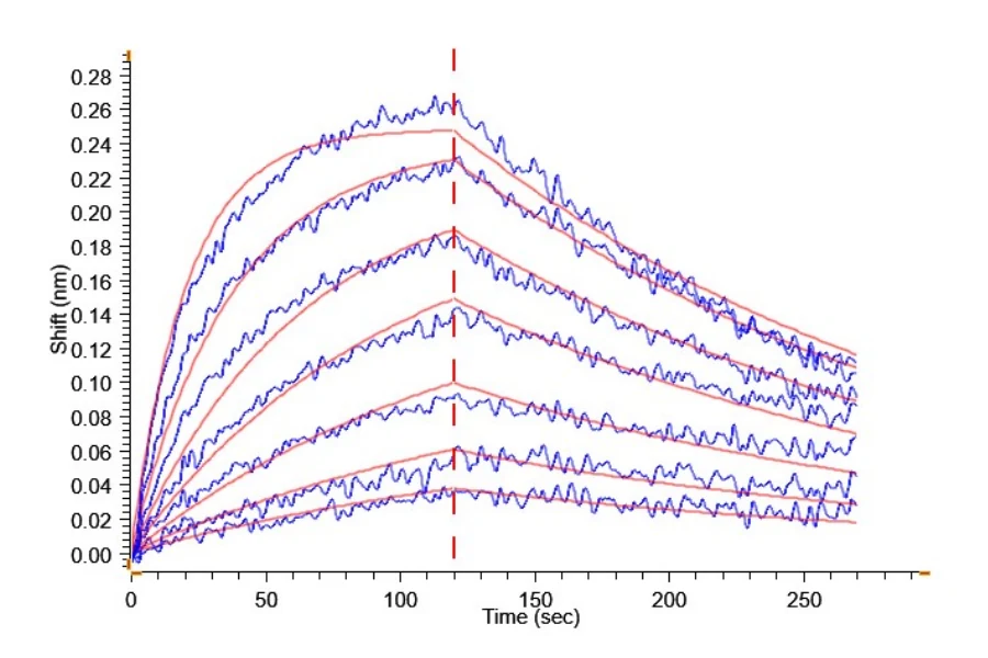 CD64-HP001 BLI result