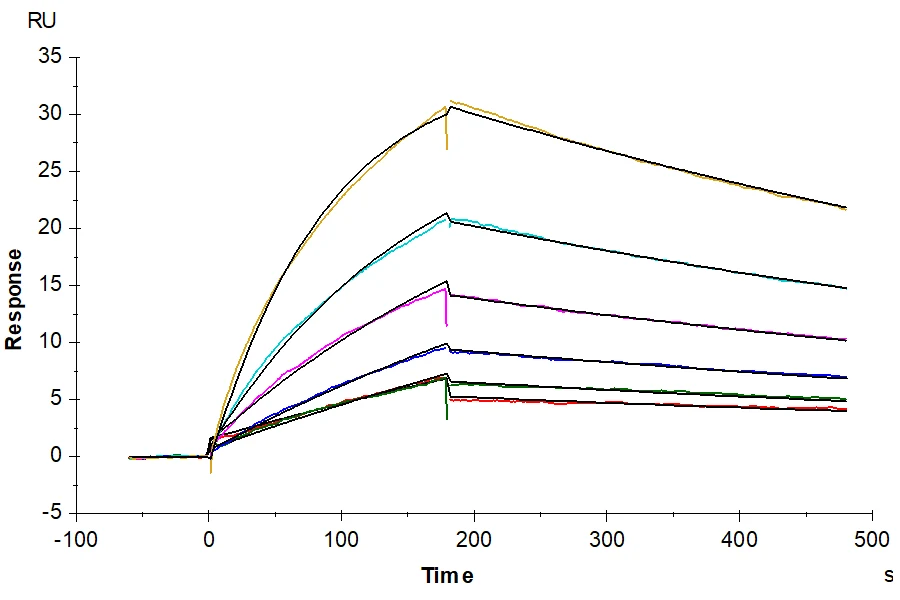CD64-HP001 SPR result