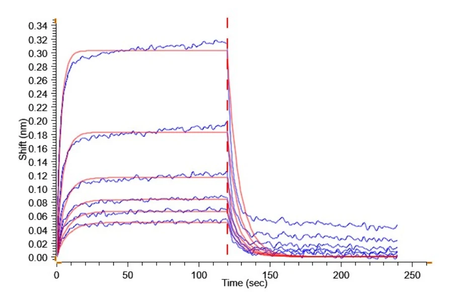 CD64-RP001 BLI result