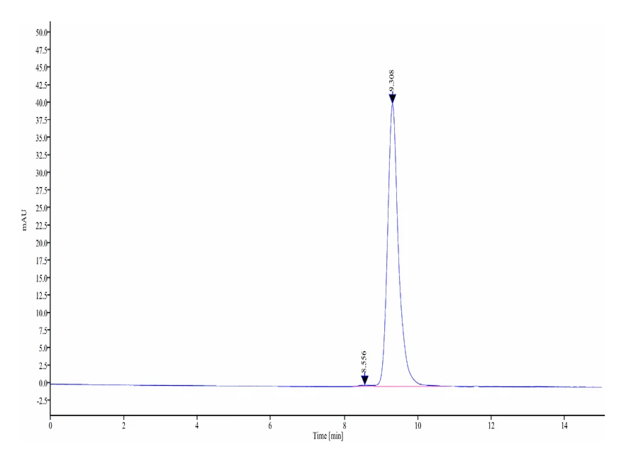 CD64-RP001 SEC-HPLC result