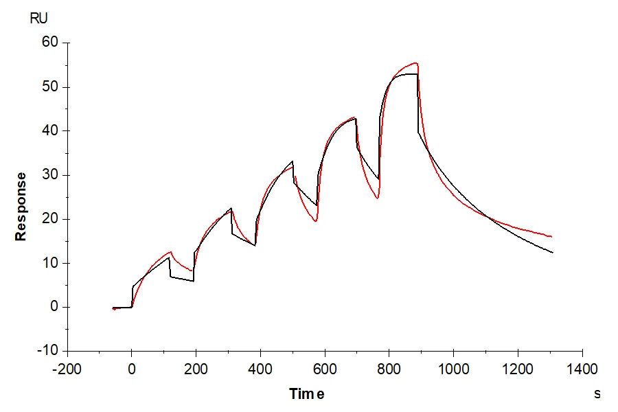 CD71-HB001 SPR result