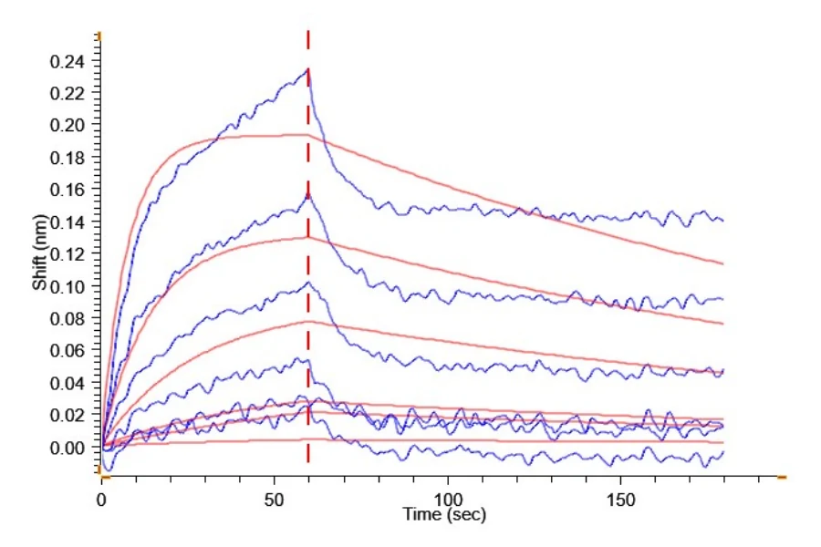 CD80-CF001 BLI result