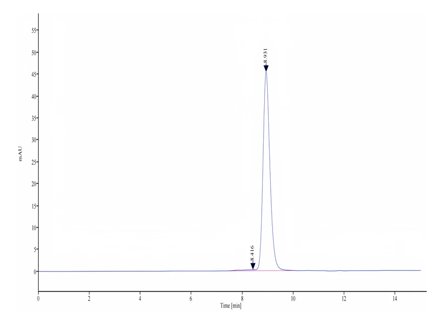 CD80-HB001 SEC-HPLC result