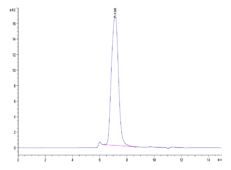 CD86-CP001 SEC-HPLC result