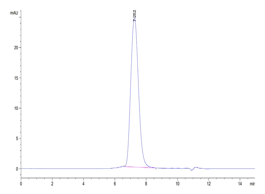 CD86-HB001 SEC-HPLC result