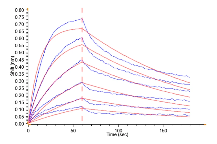 CD86-HP001 BLI result