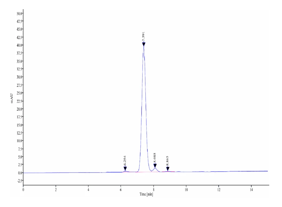 CD86-HP002 SEC-HPLC result