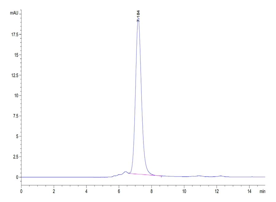 CD93-HB001 SEC-HPLC result