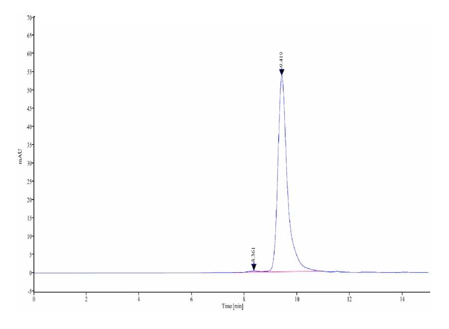 CD94-HB001 SEC-HPLC result