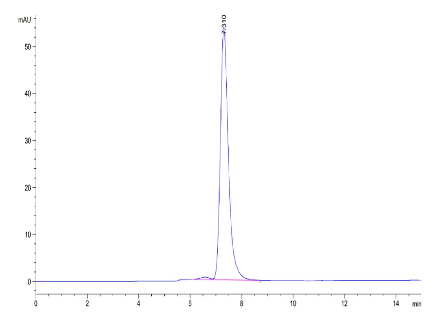 CD95-HF001 SEC-HPLC result