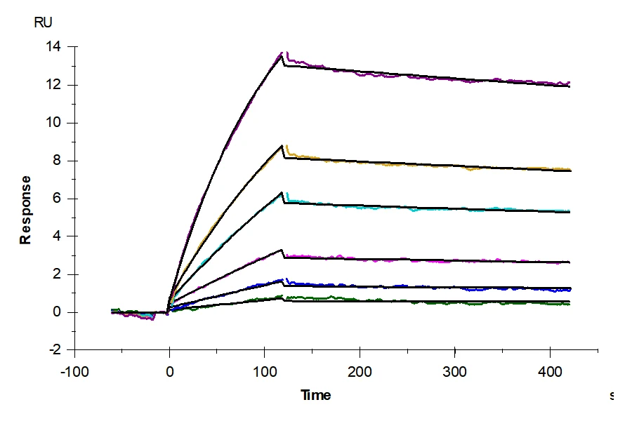 CDCP1-HB002 SPR result