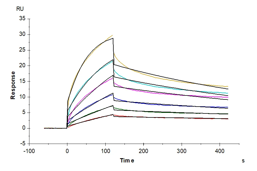 CDCP1-HF003 SPR-2 result