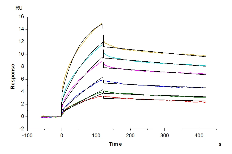 CDCP1-HF003 SPR result