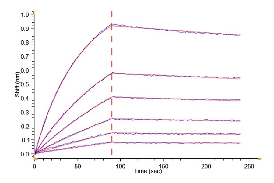 CDCP1-HF004 BLI result