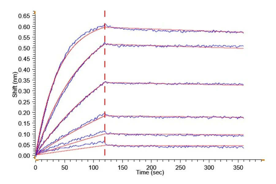 CEACAM5-HB001 BLI result