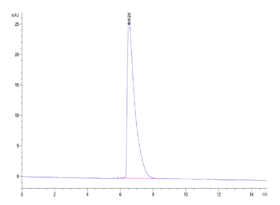 CEACAM5-HB001 SEC-HPLC result