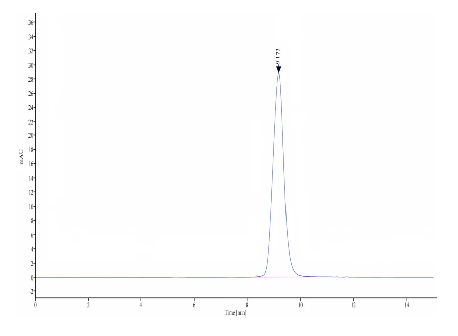 CEACAM5-HB002 SEC-HPLC result
