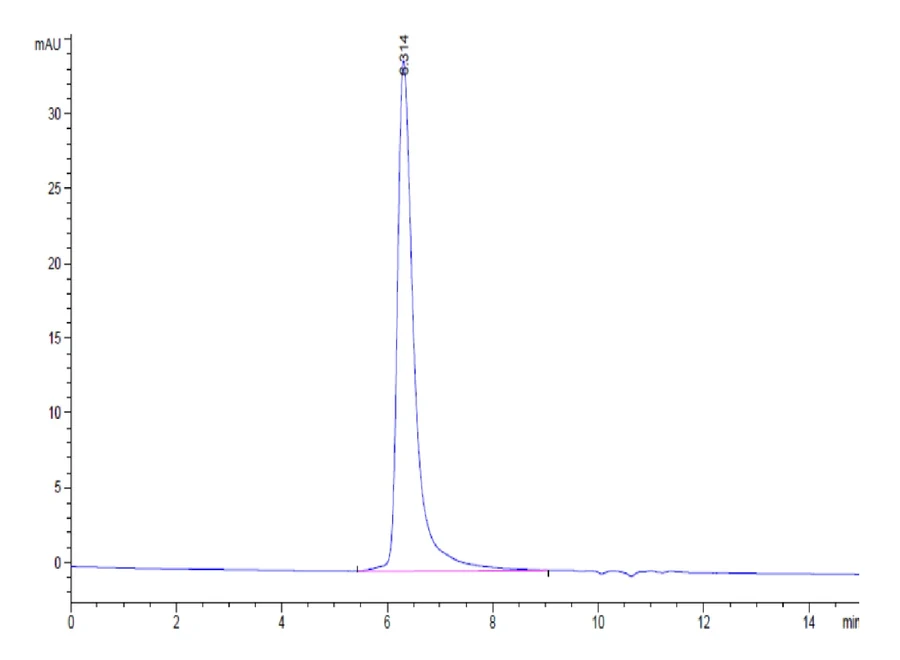 CEACAM6-HB003 SEC-HPLC result