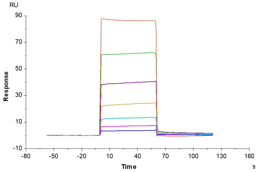 CEACAM8-HB002 SPR result