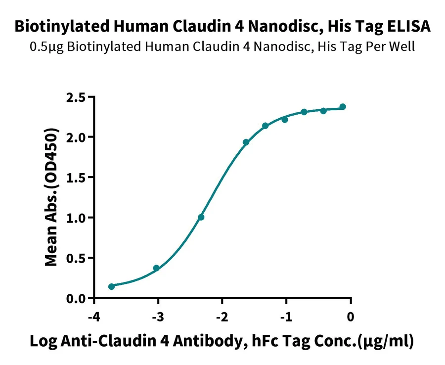 CLDN4-HB002 ELISA result