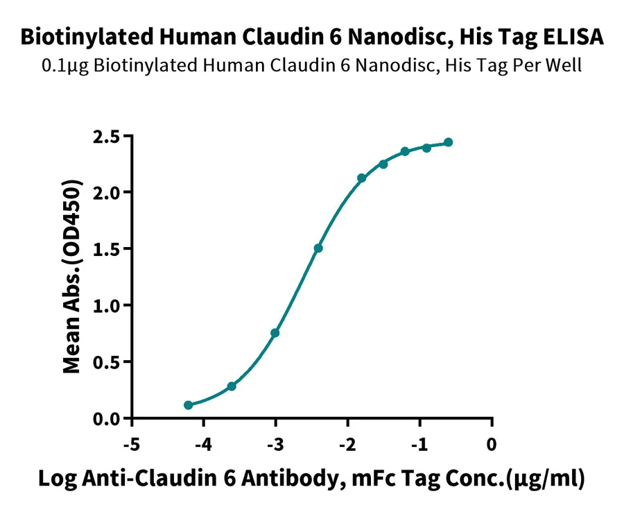 CLDN6-HB004 ELISA result