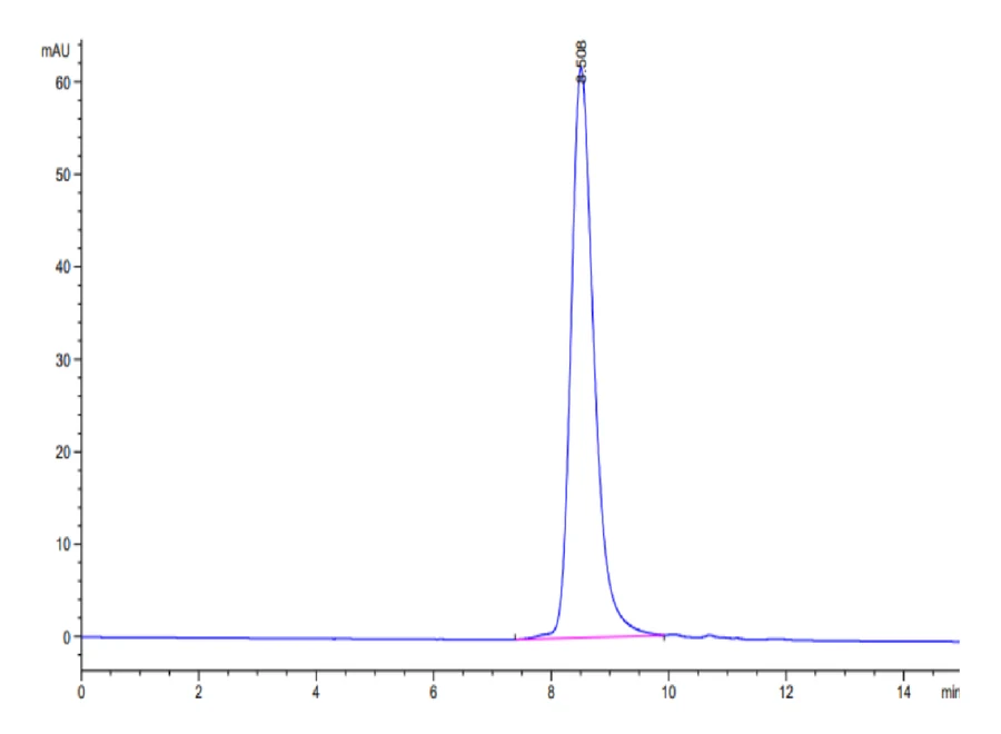 CLEC12A-HB001 SEC-HPLC result