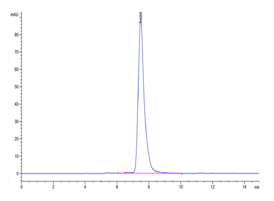 CLEC7A-MF001 SEC-HPLC result