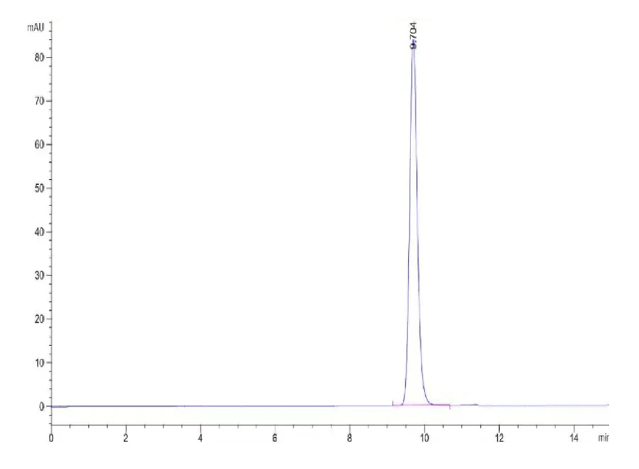 CMVPP65-HB002 SEC-HPLC result