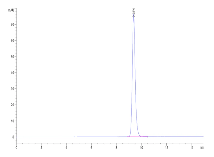 CMVPP65-HB003 SEC-HPLC result