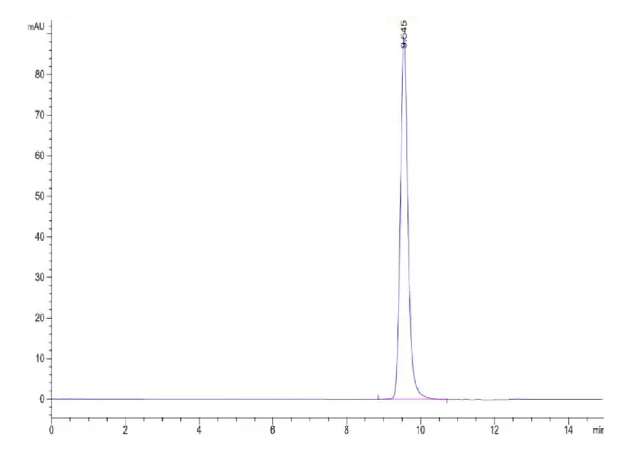 CMVPP65-HP001 SEC-HPLC result