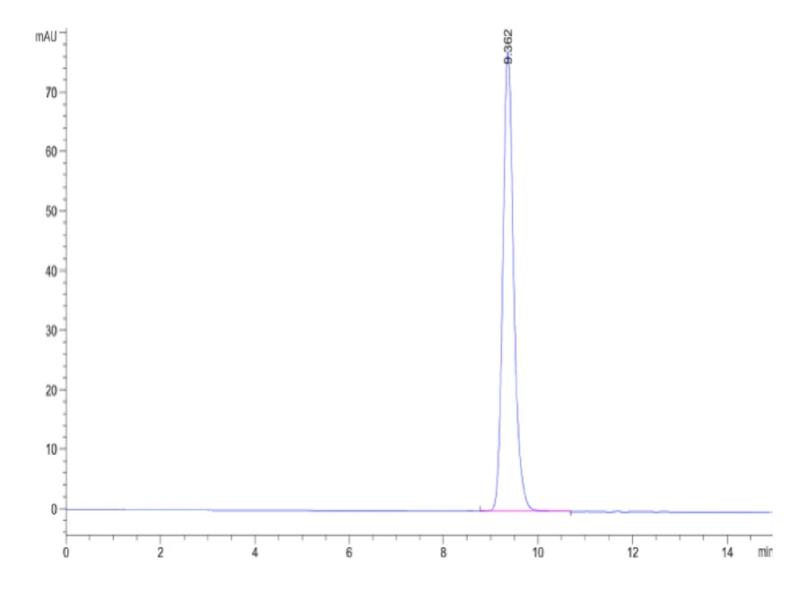 CMVPP65-HP002 SEC-HPLC result