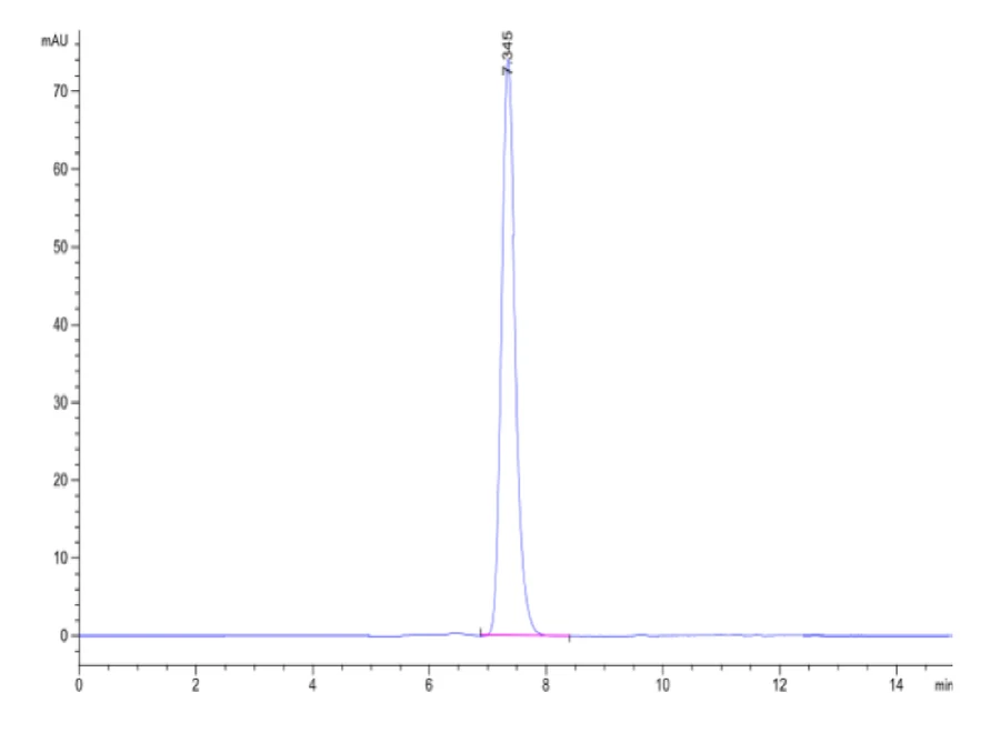 CMVPP65-HP004 SEC-HPLC result