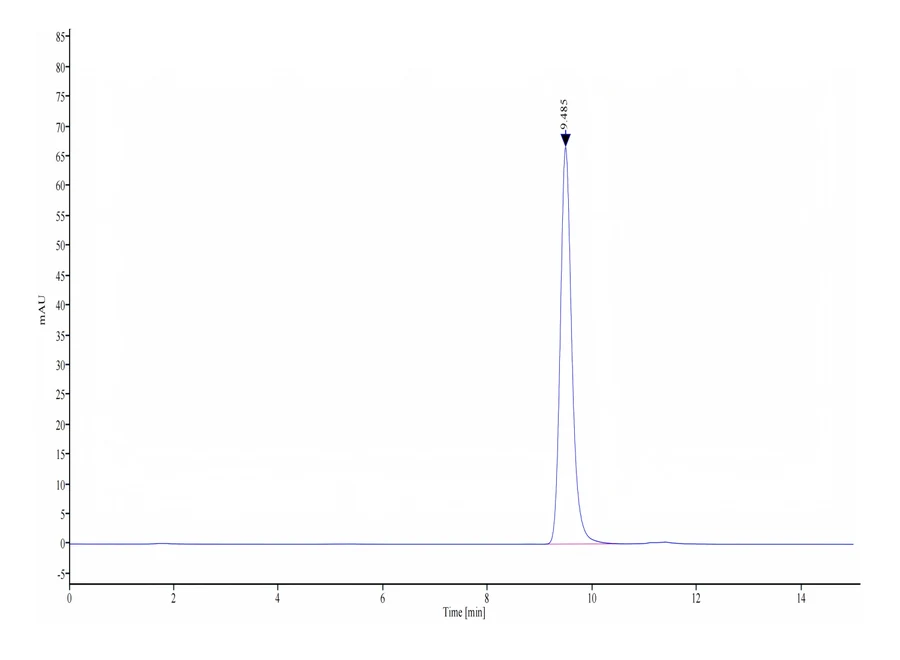 CT83-HB002 SEC-HPLC result