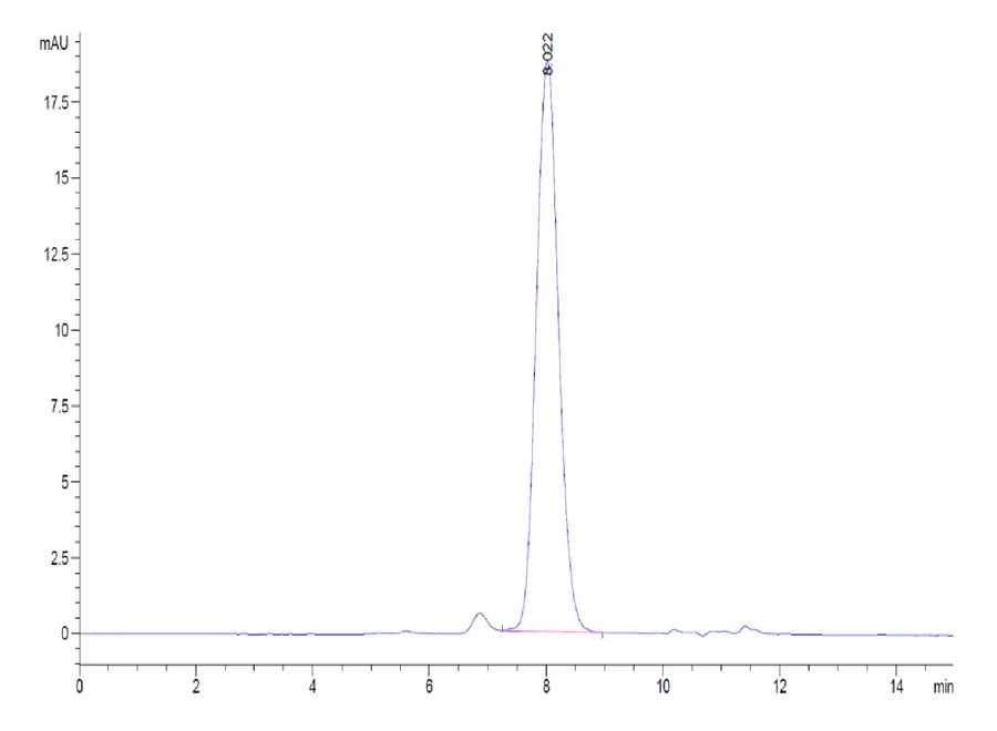 CTLA4-HB004 SEC-HPLC result
