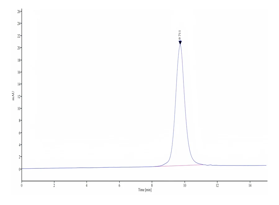 CTLA8-CB001 SEC-HPLC result