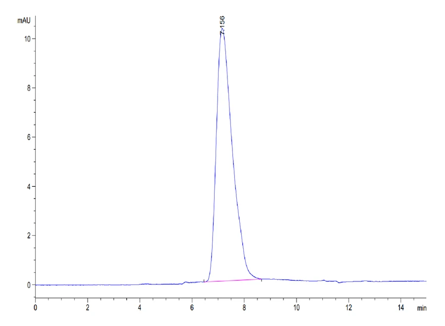 CX3CL1-MB001 SEC-HPLC result