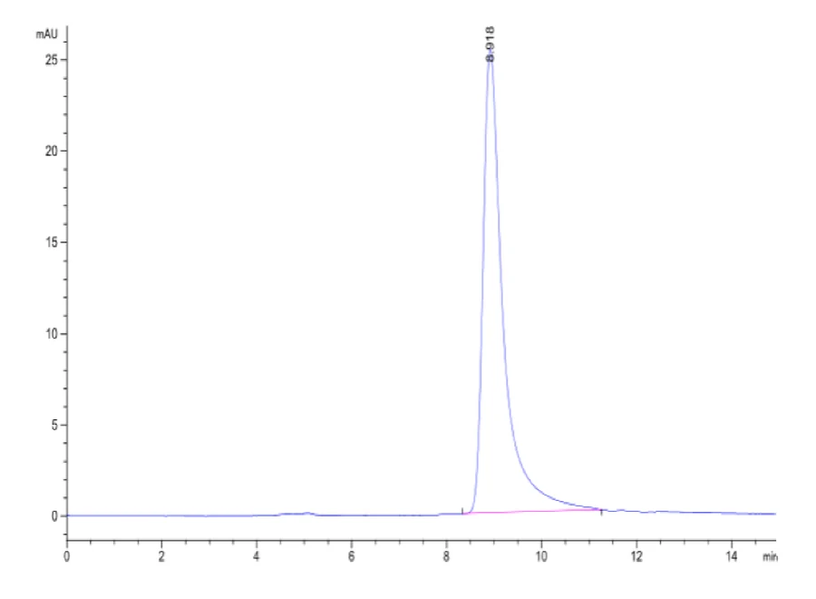 CXCL13-HF001 SEC-HPLC result