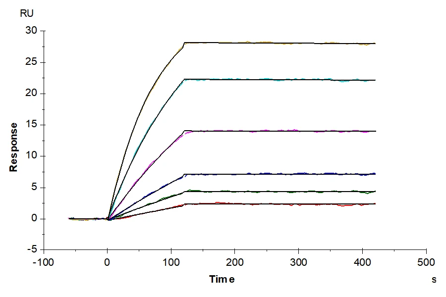 CXCR5-HB002 SPR result