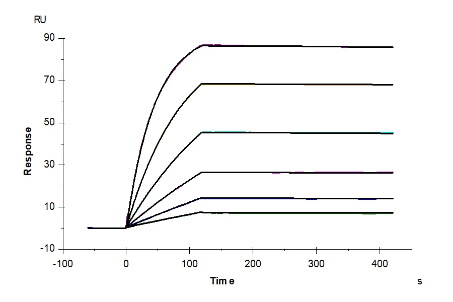 CXCR6-HB001 SPR result
