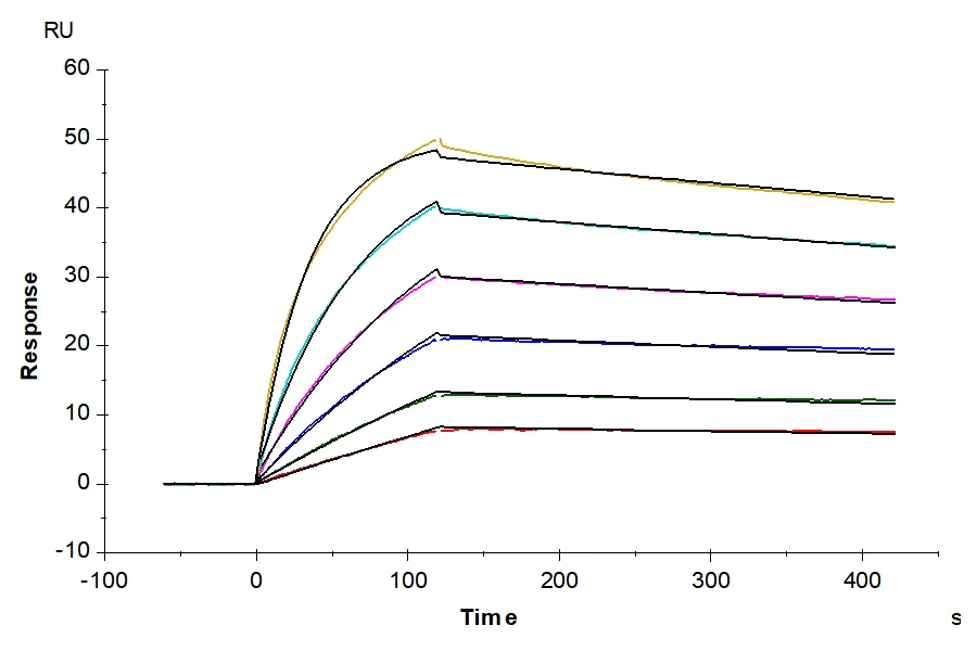CXCR7-HB001 SPR result