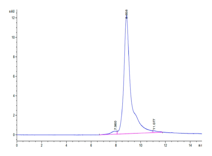 DKK1-HB002 SEC-HPLC result