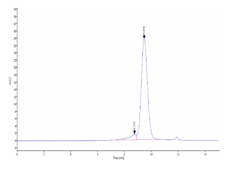 DLL3-HB001 SEC-HPLC result